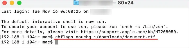 chflags