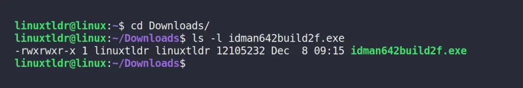 IDM windows installer