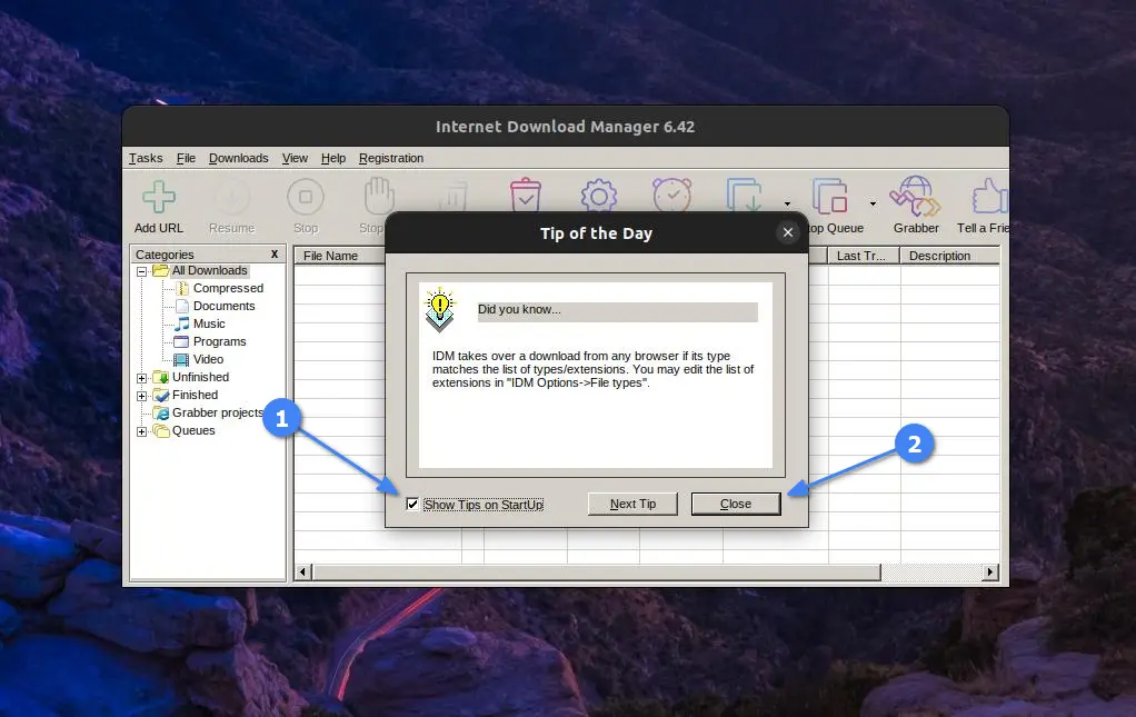 IDM quick tip window